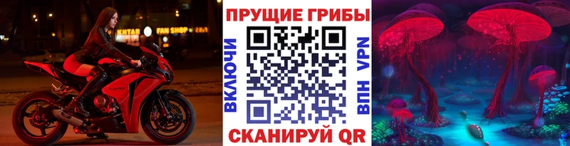 Галлюциногенные грибы MAGIC MUSHROOMS  наркотики  Новороссийск 